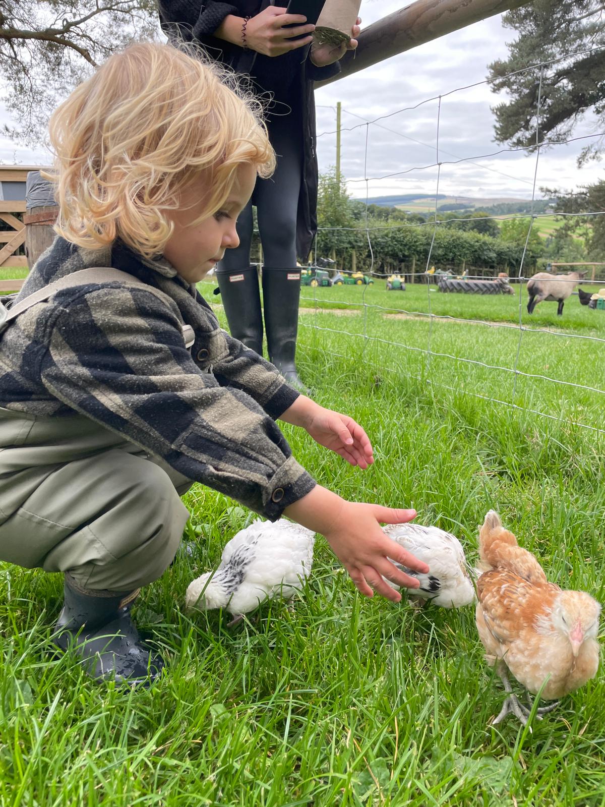 Jacksons of Jedburgh